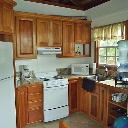 Cocotal Inn And Cabanas ซานเปโดร ห้อง รูปภาพ