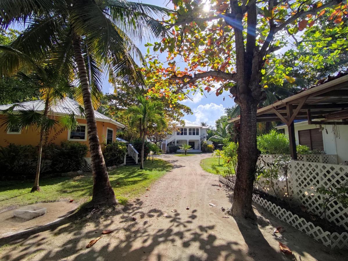 Cocotal Inn And Cabanas ซานเปโดร ภายนอก รูปภาพ