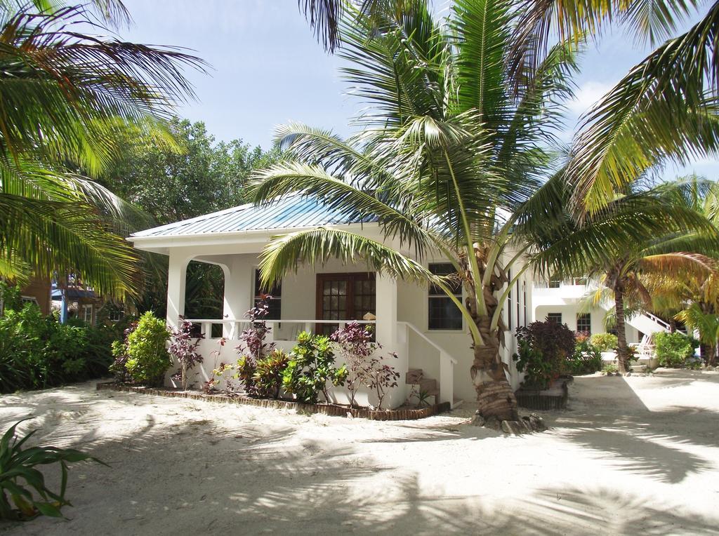Cocotal Inn And Cabanas ซานเปโดร ห้อง รูปภาพ