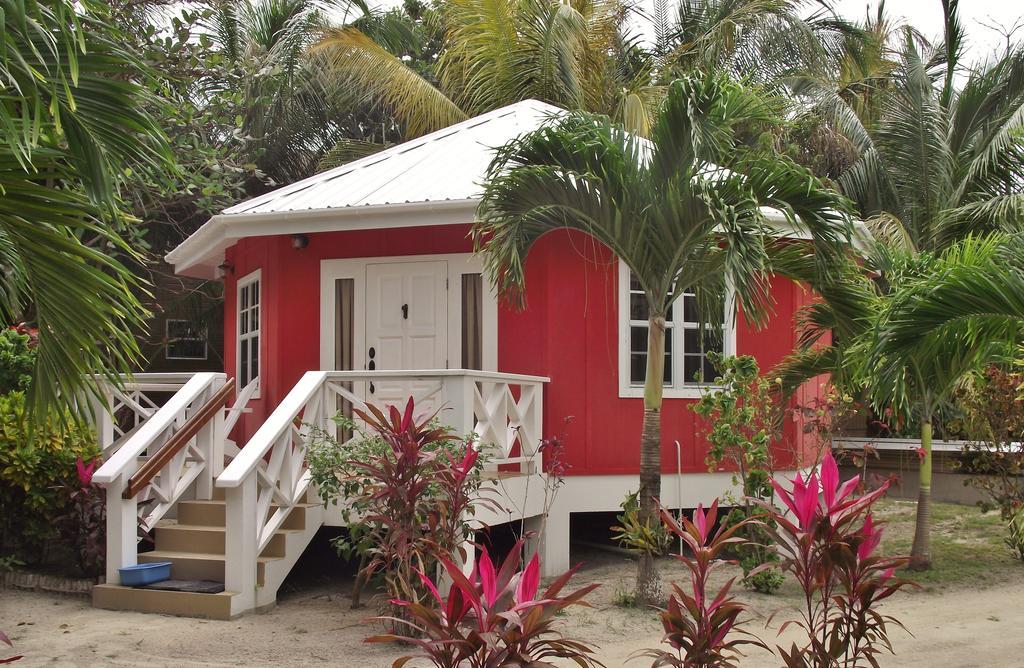 Cocotal Inn And Cabanas ซานเปโดร ห้อง รูปภาพ